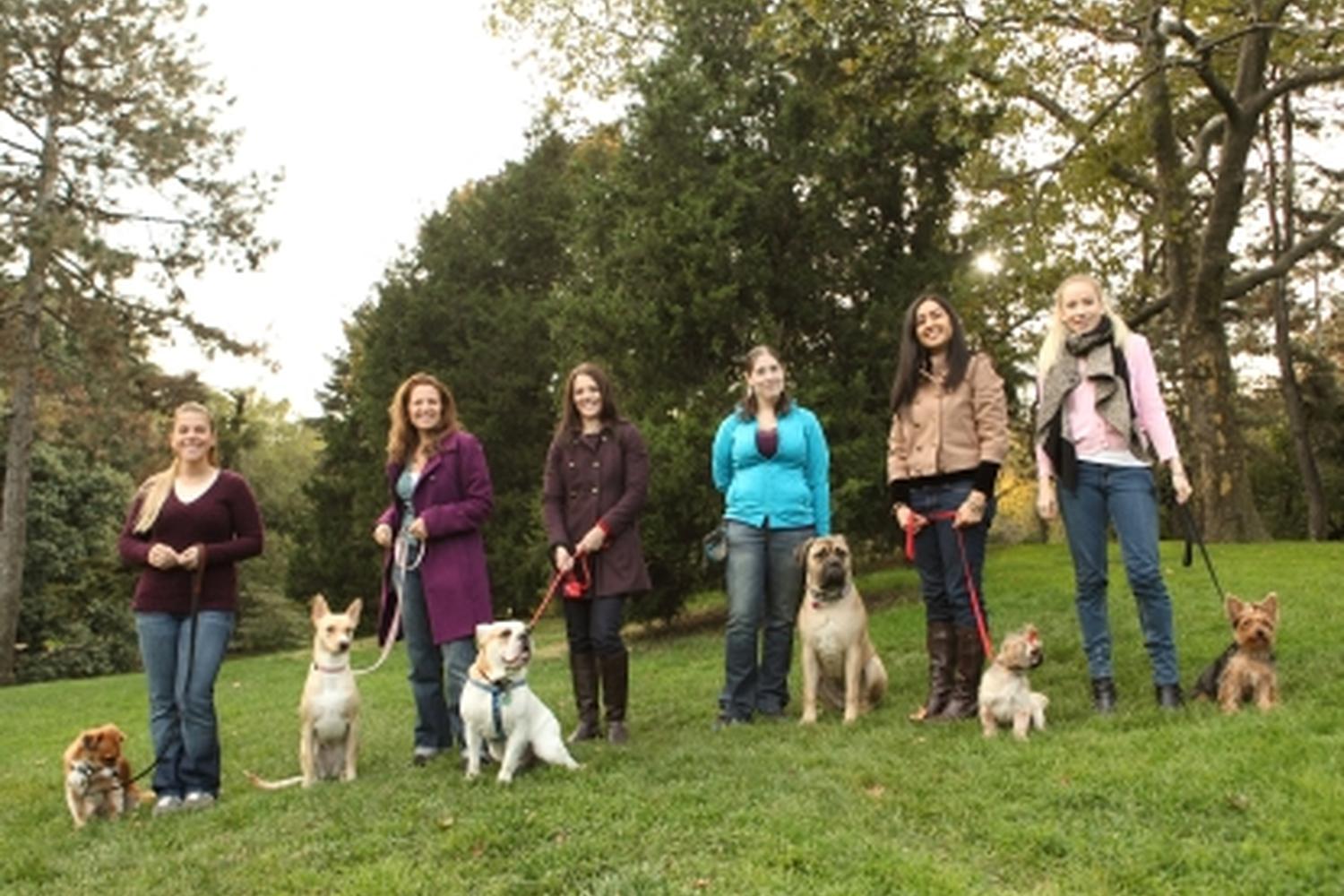 CATCH Canine Trainers Academy 4