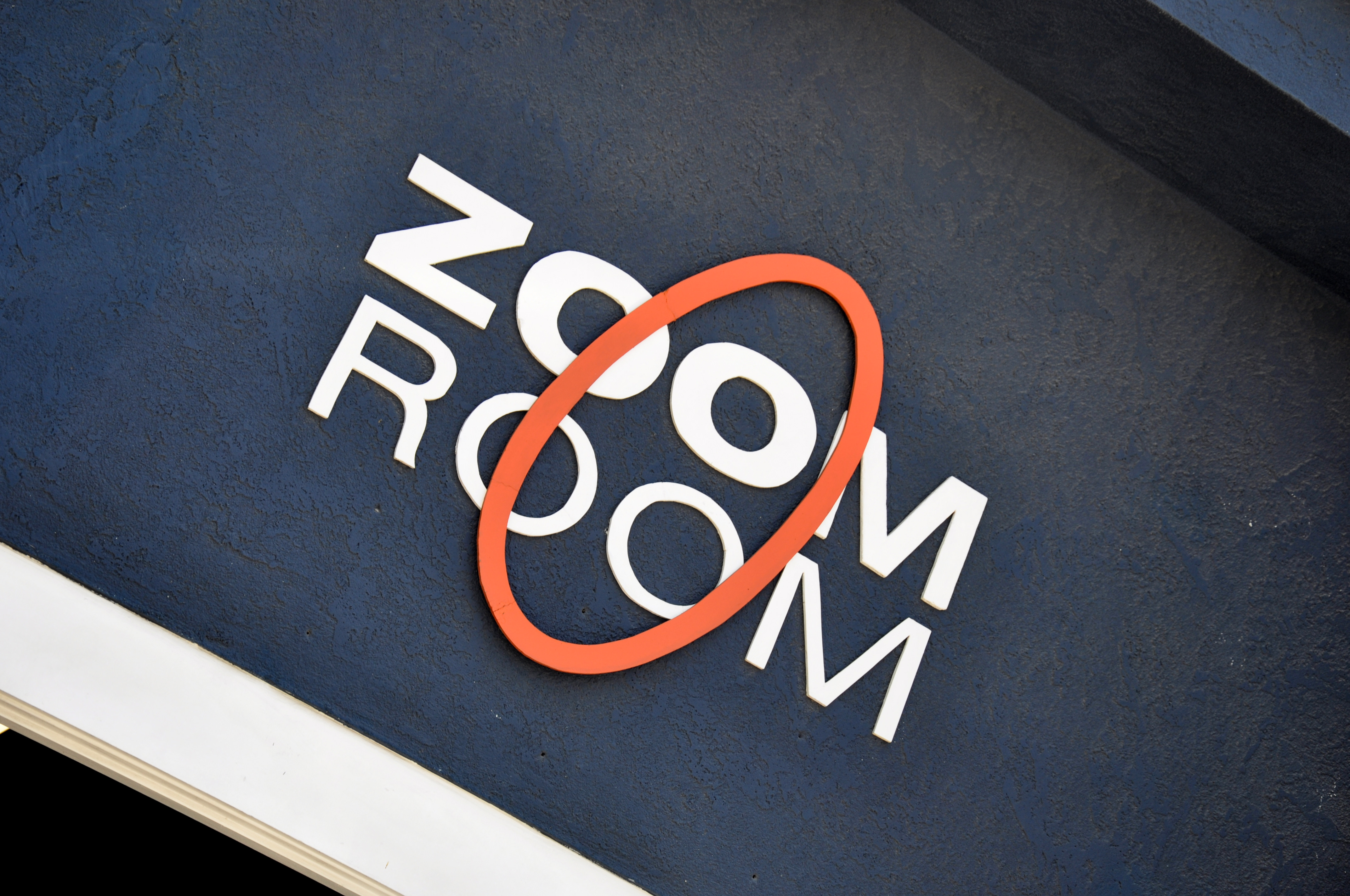 Zoom Room Dog Training 0