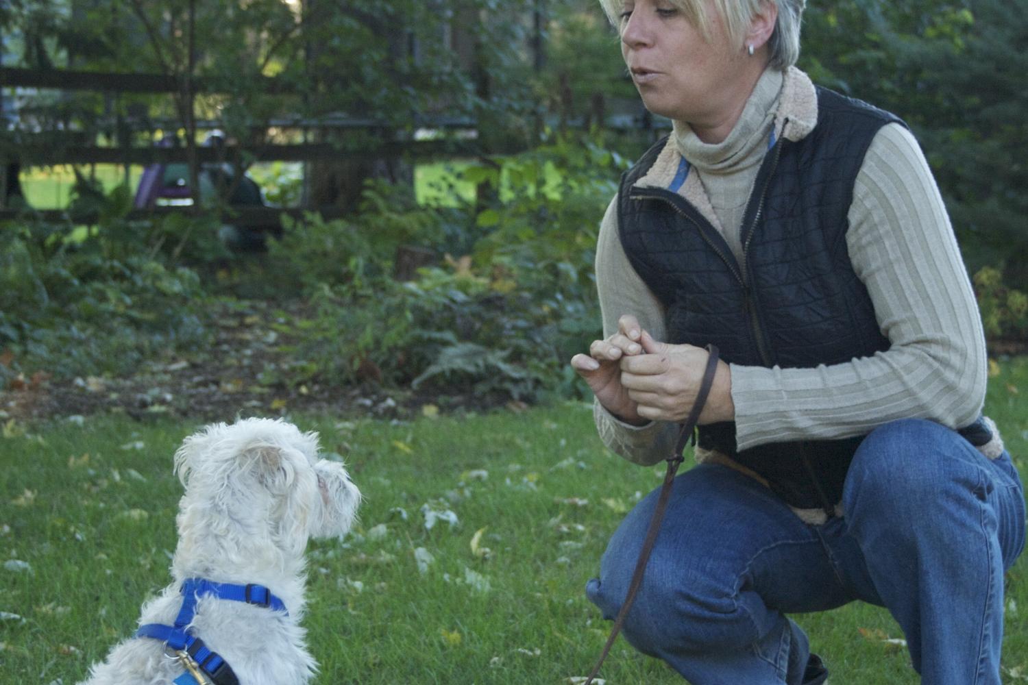 Dogs 4 Life Training and Wellness 0