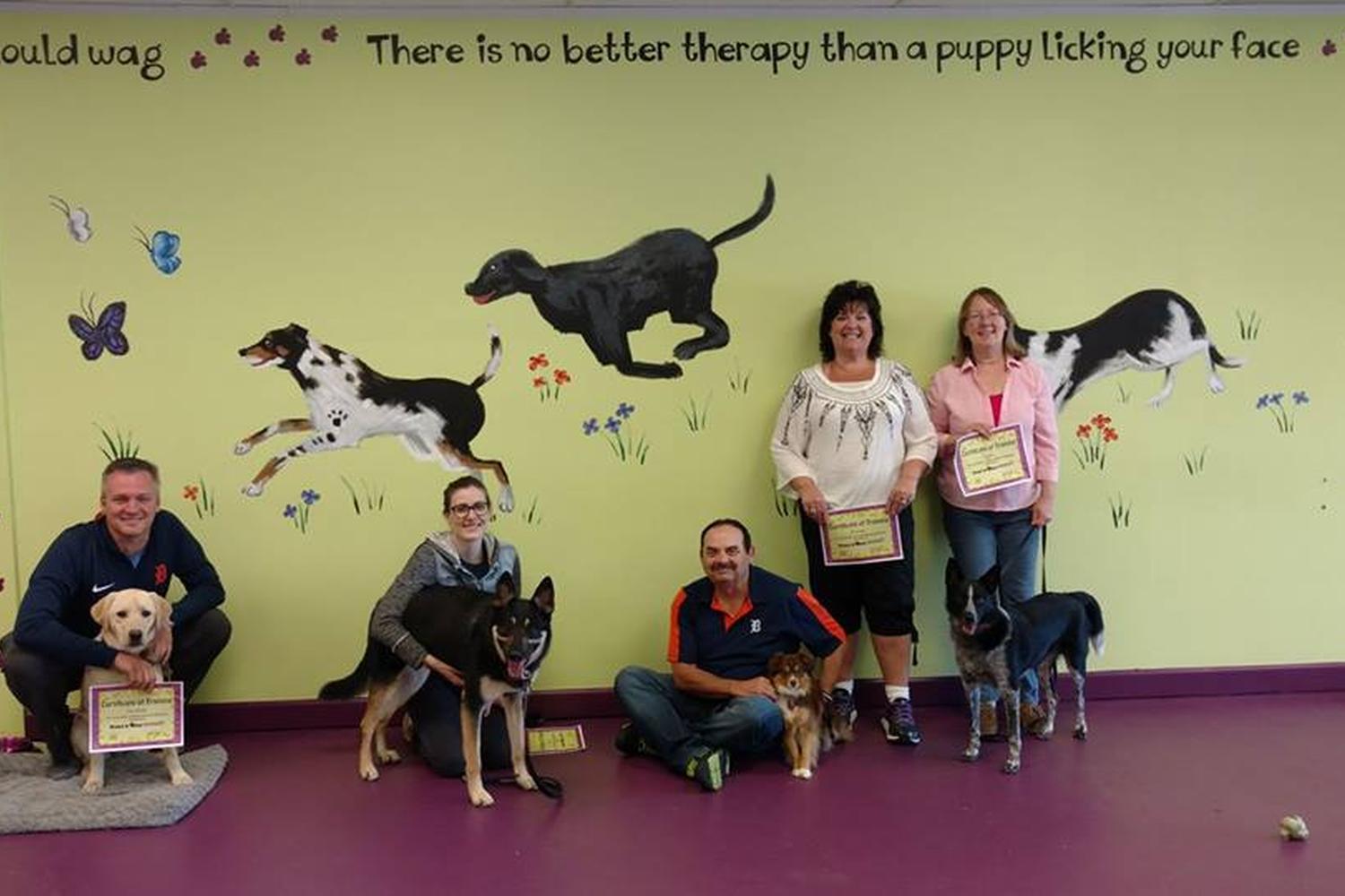 Trust & Obey Pawsitive Dog Training, llc 3