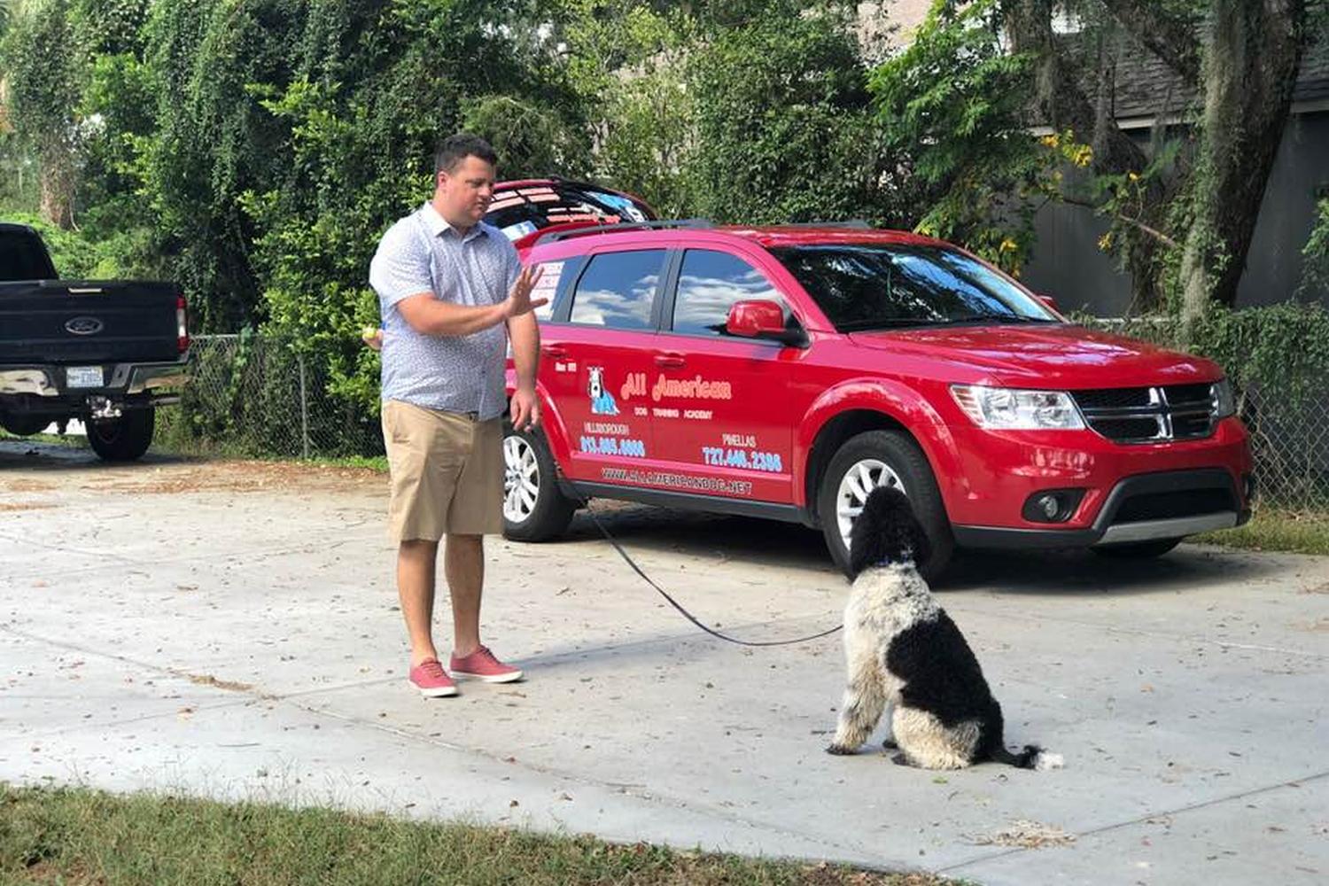 All American Dog Training Academy 4