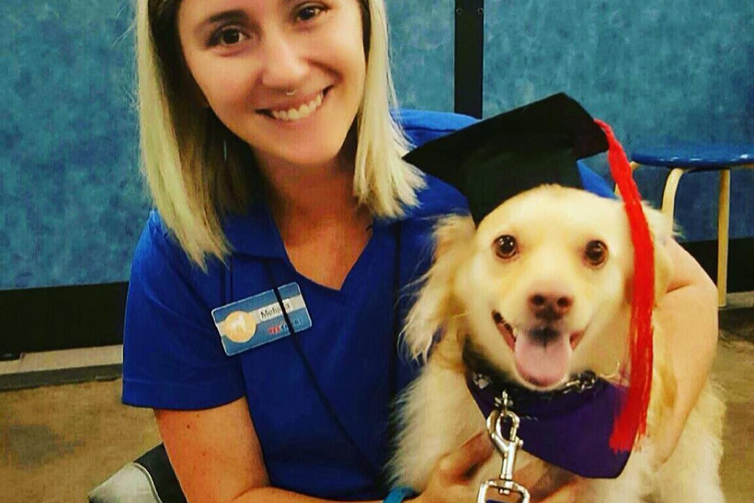 PetSmart Training review in Monument Colorado MyPetMaps PetSmart Training review in Monument Colorado MyPetMaps