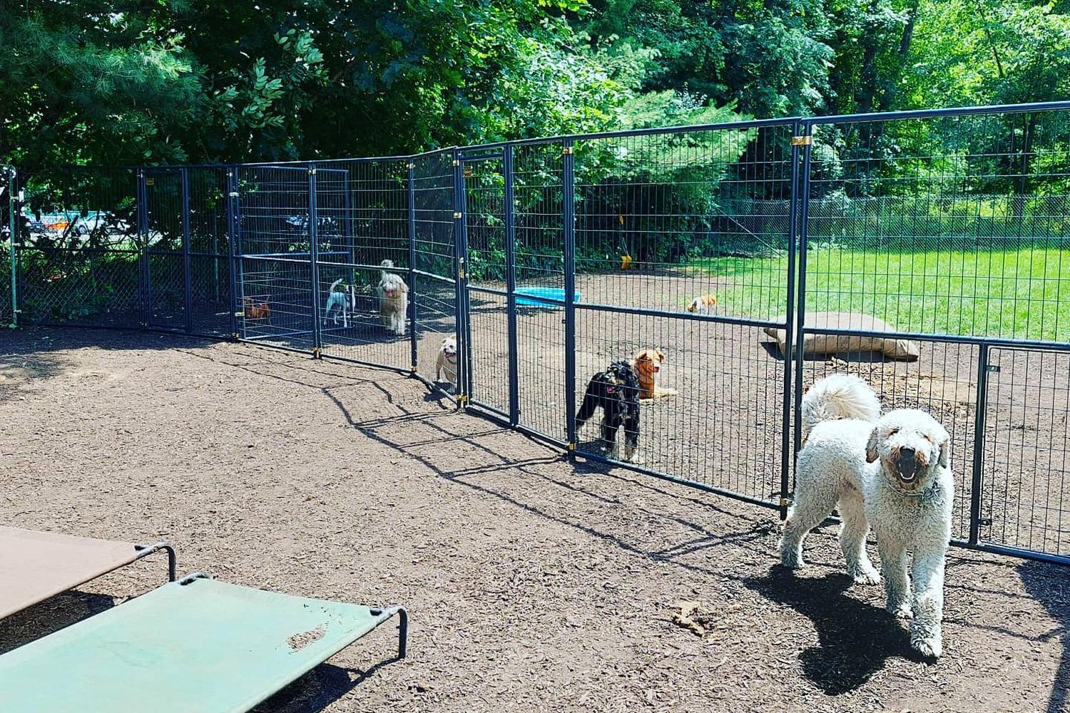 Lakeside Pet Lounge 4