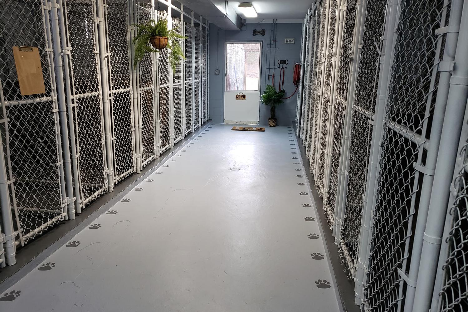 Lakeside Pet Lounge 6