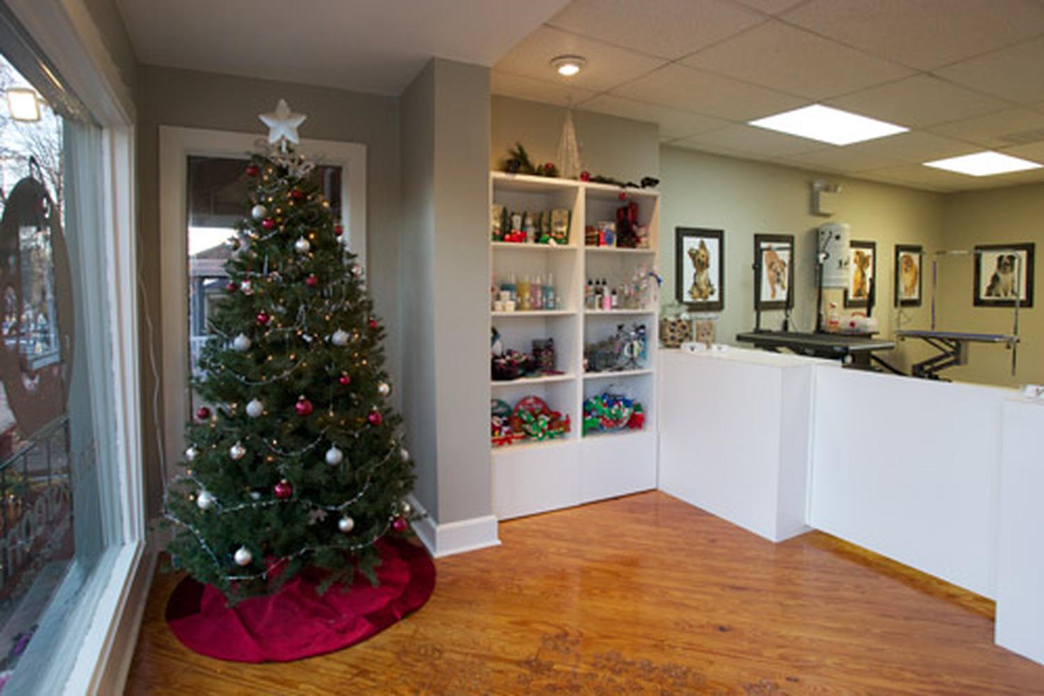 WAGS Wash And Groom Spa 1