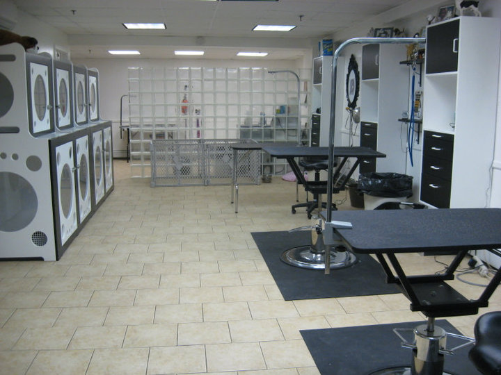 Sophie and Teddy's Grooming Salon 0