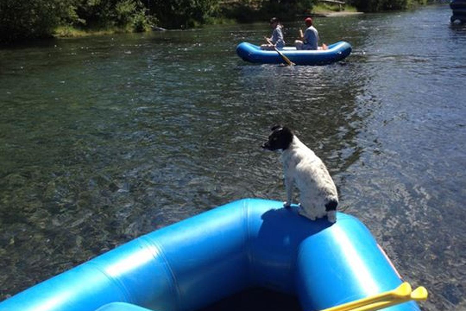 Truckee River Rafting 2