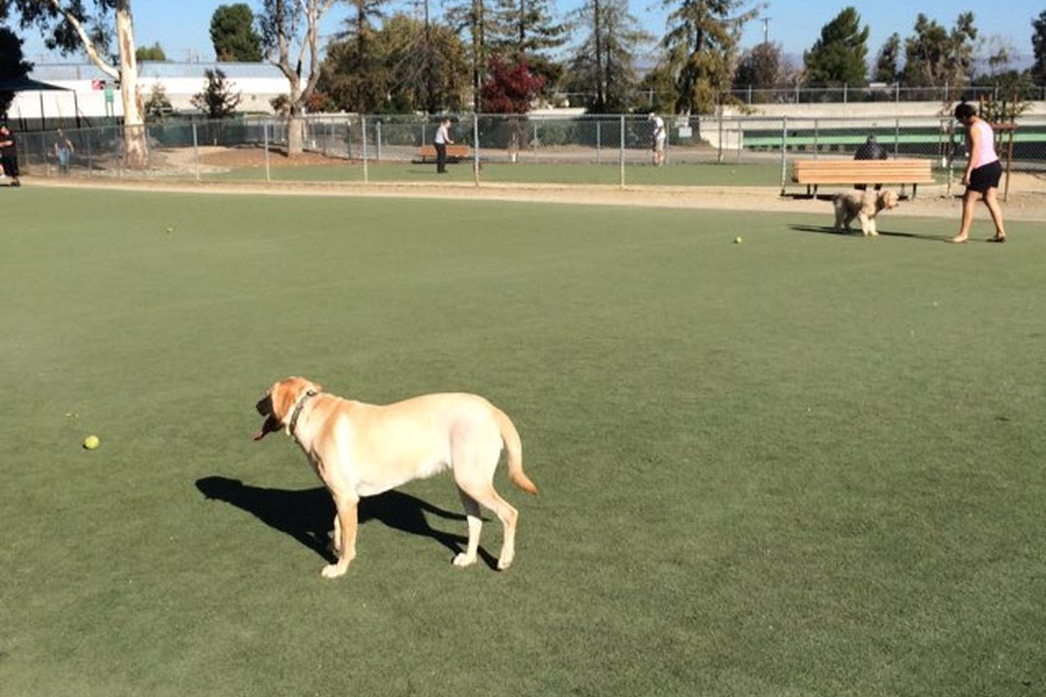 Los Gatos Creek County Park 4