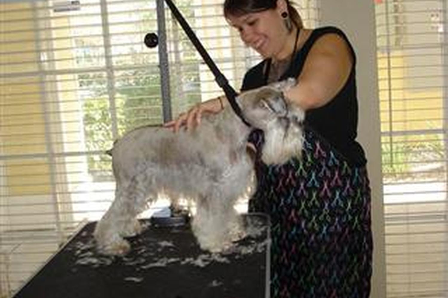 Pet Fanatic 3