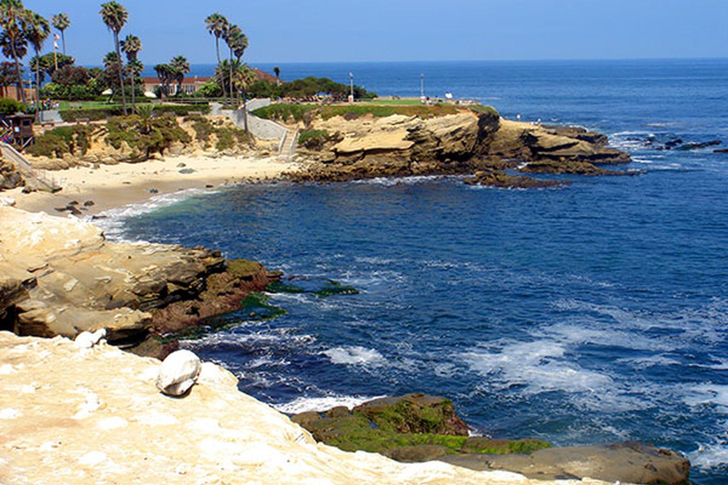 La Jolla Cove 5