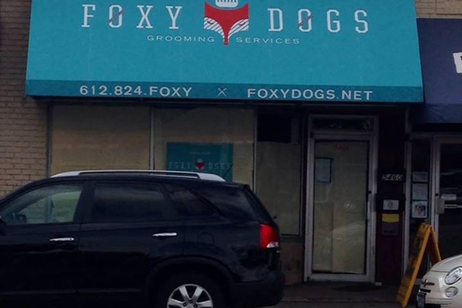 Foxy Dogs 6