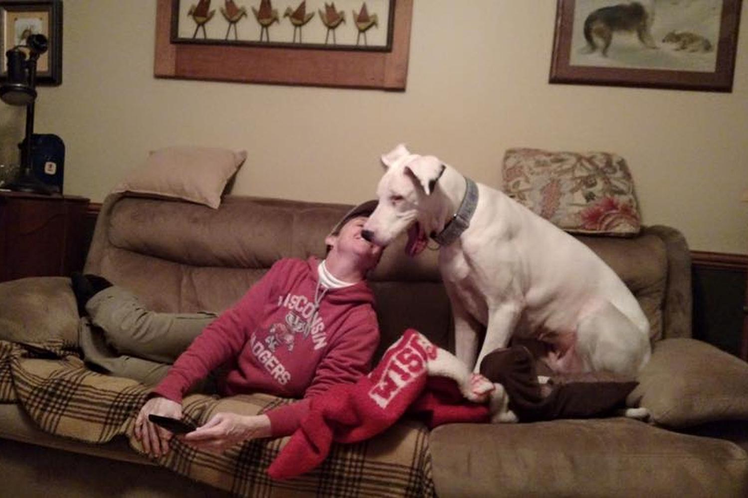 Forever Friends Great Dane Rescue, Inc. 3