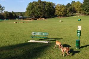 Tails & Trails at Queeny Park