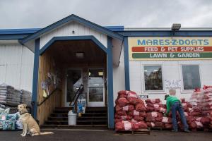 Mares-Z-Doats Feed Pet & Garden