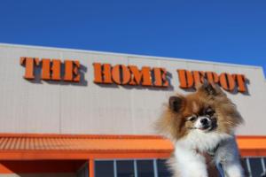 Home Depot