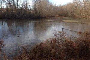 Raising Cane's Dog Park at Kiroli Park