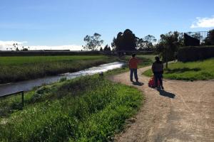 Watsonville Slough National Wildlife Refuge and Trail System