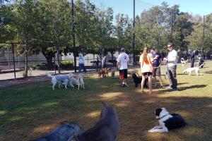 Nealon Dog Park