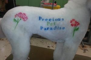 Precious Pet Paradise