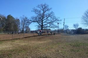 Leita Thompson Memorial Dog Park