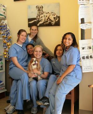 Prytania Veterinary Hospital