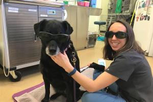 Crossroads Animal Hospital