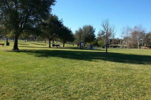 Camarillo Grove Dog Park