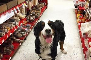 PETCO Atascocita