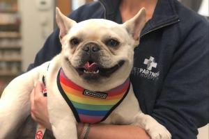 Vet Partners Pet Hospital
