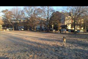 Colonial Greenway Dog Park