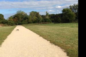 Prairie Wolf Dog Park