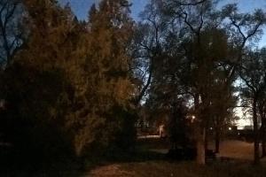 Roosevelt Park