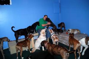The Backyard Pack