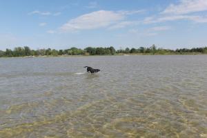 East Tawas State Park