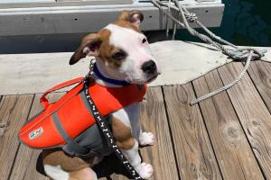 Aqua Sports Adventures
