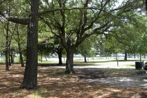 Brittlebank Park