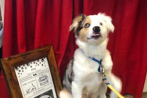 McMillan Veterinary Clinic