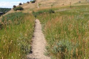 Peets Hill/Burke Park