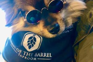 Out of the Barrel