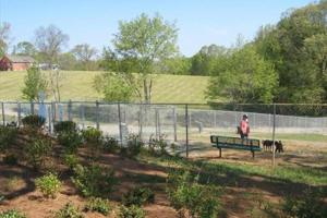 Thompson dog park