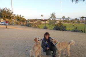 Home Sweet Home Petsitters and Dog-walker