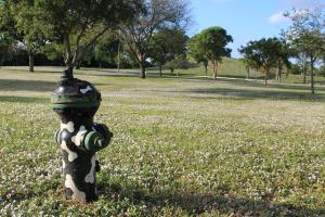 Dreher Dog Park
