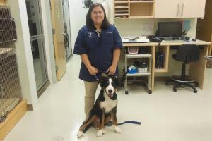 Heartland Animal Hospital