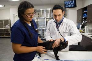 Veterinary Medical Center