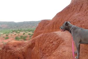 Palo Duro Canyon State Park