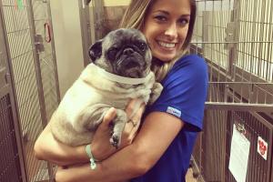 PetsHotel San Carlos