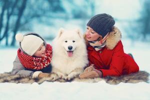 PawsPlus, Inc.