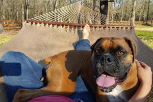 PetSitterTXk - Pet Sitting & Dog Training