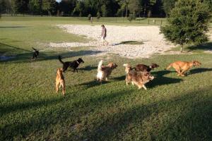 Possum Creek Dog Park