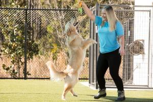 Pet Paradise Houston Hobby